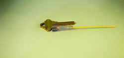 a key symbolizing an injection molding introducer